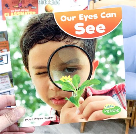 Sense Of Sight Books For Preschoolers Our Eyes Can See Play To