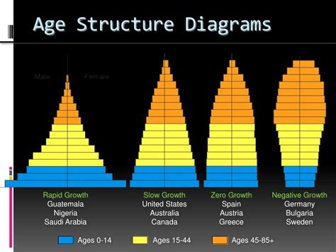 Ppt Age Structure Diagrams Powerpoint Presentation Free Download