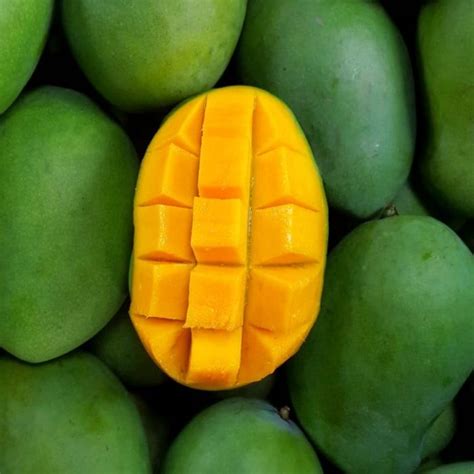 Sudah Masuk Musim Buah Mangga Simak Daftar Jenis Buah Mangga Yang Ada