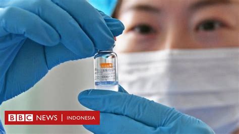 Vaksin Covid Apa Perbedaan Vaksin China Sinovac Dan Sinopharm Serta