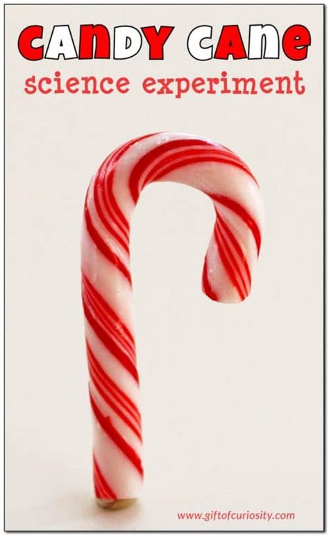 The hard candy part tasted just like quality peppermint candy canes with the classic chocolate tootsie roll center. FREE Candy Cane Science Experiment | Free Homeschool Deals