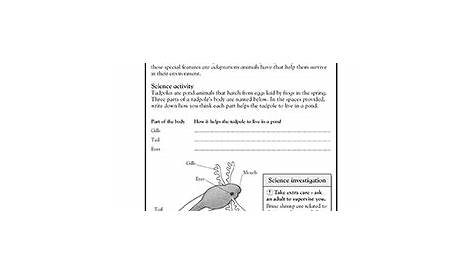 science for 3rd graders worksheets