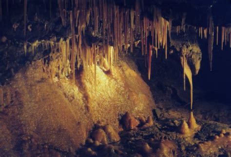 Treak Cliff Cavern England Tourist Information