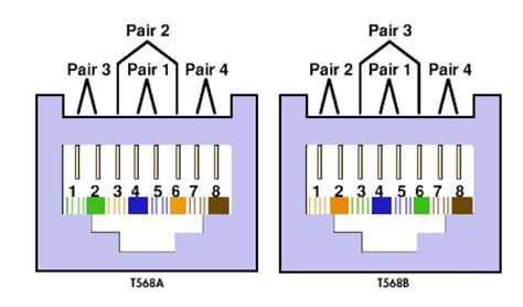 What kind of connector does it use? Get Back to Cabling Basics If Anything Goes Wrong | Fluke ...