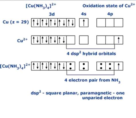 What is the hybridization of [math][Cu(NH_3)_4]^{2+}[/math ...