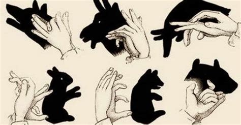 Bored Have Fun With These Hand Shadow Puppets