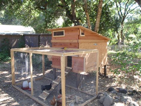 How to Plan a Backyard Chicken House: DIY Coops and ...