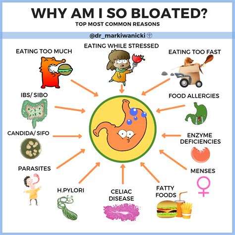 Dr Mark Iwanicki Store Why Am I So Bloated Top 12 Most Common Causes