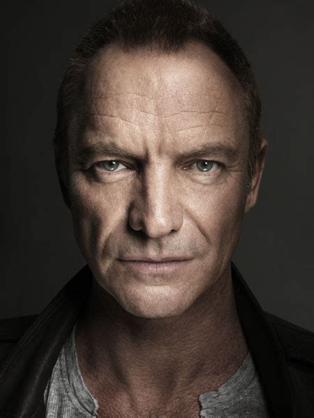 Sting Discography Top Albums And Reviews