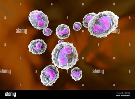Monocytes Immune System Defense Cells 3d Rendered Illustration Stock