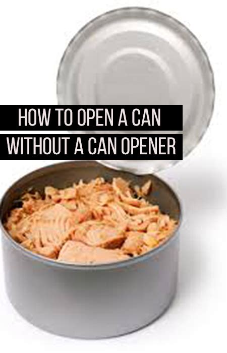 Read on to learn how to open a can even without a can opener! Open a Can Without a Can Opener - Andrea's Notebook