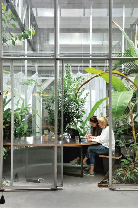 Meaning Of Biophilic Design And Where It All Begun Green Building