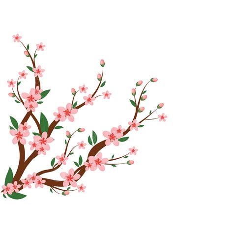 Cherry Blossom Card Vector Art Png Cherry Blossom Design On Unique Cherry Blossom Design On