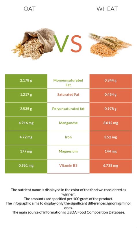 Oat Vs Wheat Health Impact And Nutrition Comparison
