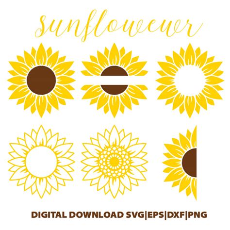 Sunflower Svghalf Sunflower Svgsunflower Monogram Svgfloral Svg