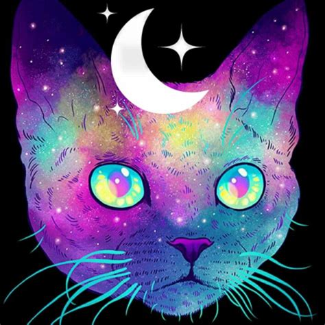 Pin By Cassy Chester On Cats Cartoon Cat Space Cat Galaxy Cat