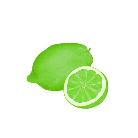 Lemon And Lime Clipart Transparent Png Hd Hand Drawn Cartoon Lime