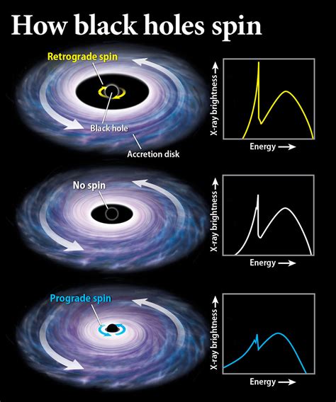 What Is Black Hole Spin