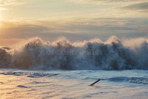 Foamy Wave Stock Photo Image Of Shore Coast Wave 131607562