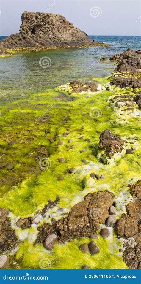 Las Sirenas Reef Cabo De Gata NÃjar Natural Park Spain Stock Photo Image of coastline