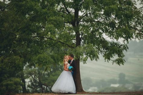Wedding Couple Kissing Under Tree Stock Photo Image Of Couple Grass