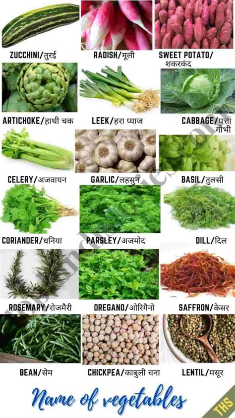 70 All Vegetables﻿ Name In Hindi And English सब्जियों के नाम