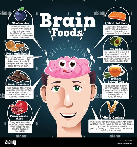 A Vector Illustration Of Brain Foods Infographic Stock Vector Image