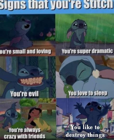 Signs That Youre Stitch Disney Quotes Funny Funny Disney Jokes