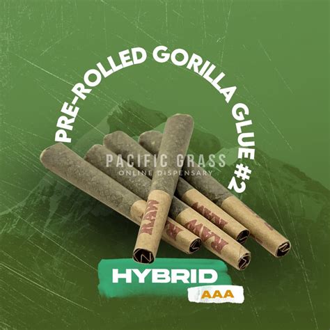 Buy Pre Rolled Gorilla Glue 2 Online In Canada Pacific Grass