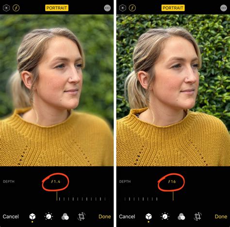 4 Easy Ways To Blur The Background In Your Iphone Photos