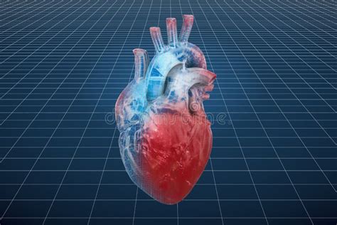 Modelo Do Visualização 3d Cad Do Coração Humano Rendição 3d Ilustração