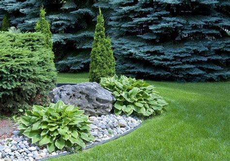 Wonderful Evergreen Grasses Landscaping Ideas 08 Landscaping With