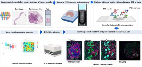 Frontiers Challenges And Opportunities For Immunoprofiling Using A