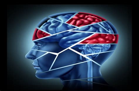 The Impact Of A Traumatic Brain Injury Phoenix Injury Attorneys