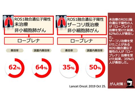 日本がん対策図鑑 【ros1陽性肺がん】ローブレナ