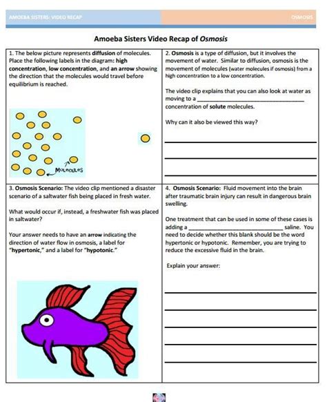 We did not find results for: 27 best Amoeba Sisters Handouts images on Pinterest ...