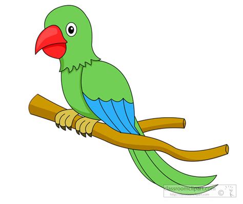 Green Parrot Parrot Cartoon Images Did You Scroll All This Way To Get