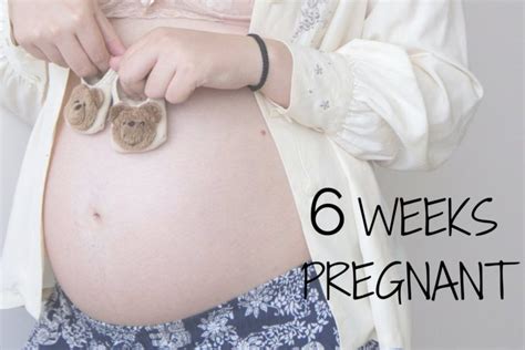 Week By Week Pregnancy First Trimester And Its Stages