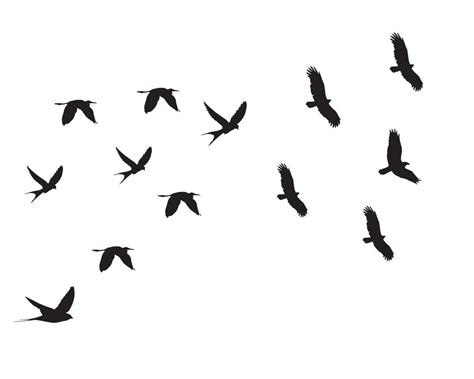 Flying Birds Silhouettes On Isolated Background Vector Illustration