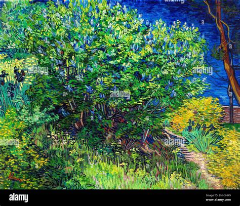 Vincent Van Goghs Lilac Bush 1889 Famous Landscape Painting