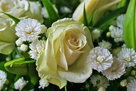 White Rose In A Bouquet Free Stock Photo Public Domain Pictures