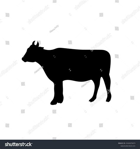 Vector Isolated Standing Cow Side View Stock Vector Royalty Free