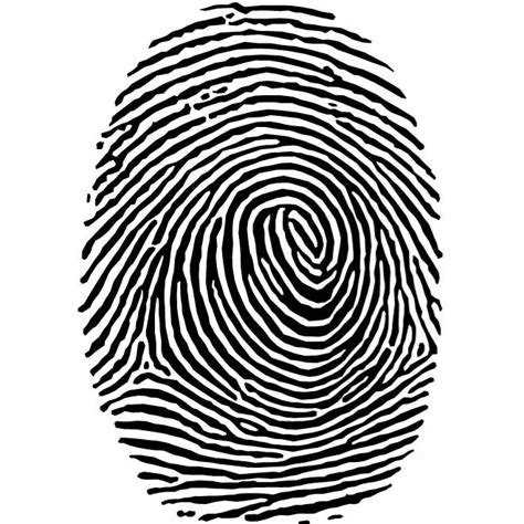 Fingerprint Clip Art Free Free Clipart Images ClipArt Best