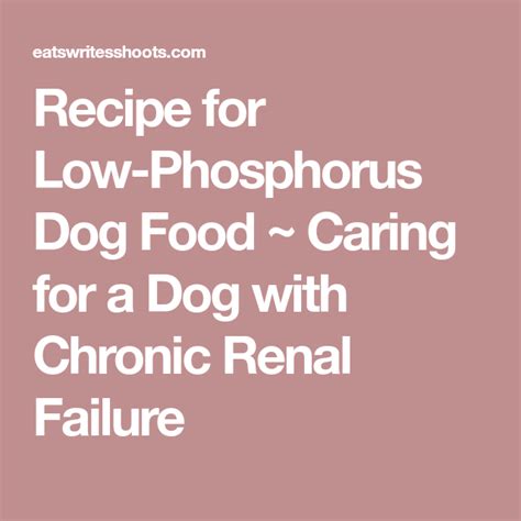 Satisfied owners have seen progress when giving this food to their dogs with kidney disease. Recipe for Low-Phosphorus Dog Food ~ Caring for a Dog with ...