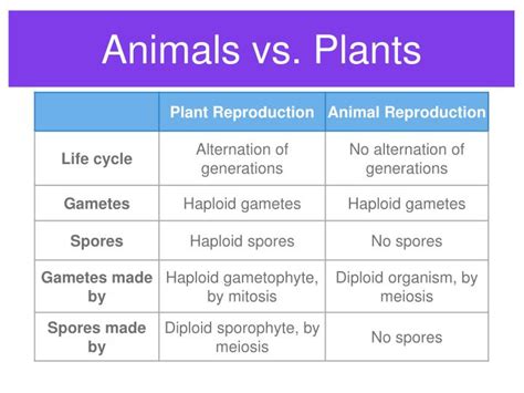 Both animal and plant reproduction (during the alternation of generations in plants) involve mitosis (a type of cell division that maintains the ploidy of a cell; PPT - Plant Reproduction PowerPoint Presentation - ID:1398395