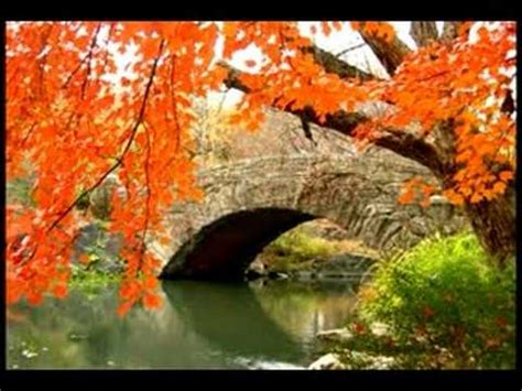 Maybe you would like to learn more about one of these? Lake of Tears - Forever Autumn - YouTube