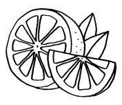 Print out Fruits Orange colouring book pages | Fruit coloring pages
