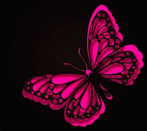 Black And Pink Butterflies Wallpapers Wallpaper Cave
