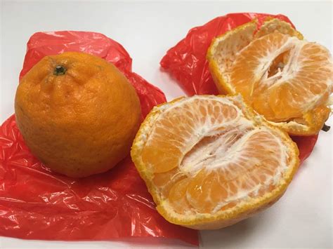 Mengapa ada yang mengatakan sekiranya kita makan buah ini terlalu banyak akan menyebabkan sakit tekak? Creating Wonder - the Petrosains Blog: February 2018