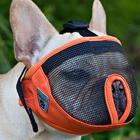 Mesh Muzzle For Short Nosed Dogs Cheaper Than Retail Price Buy